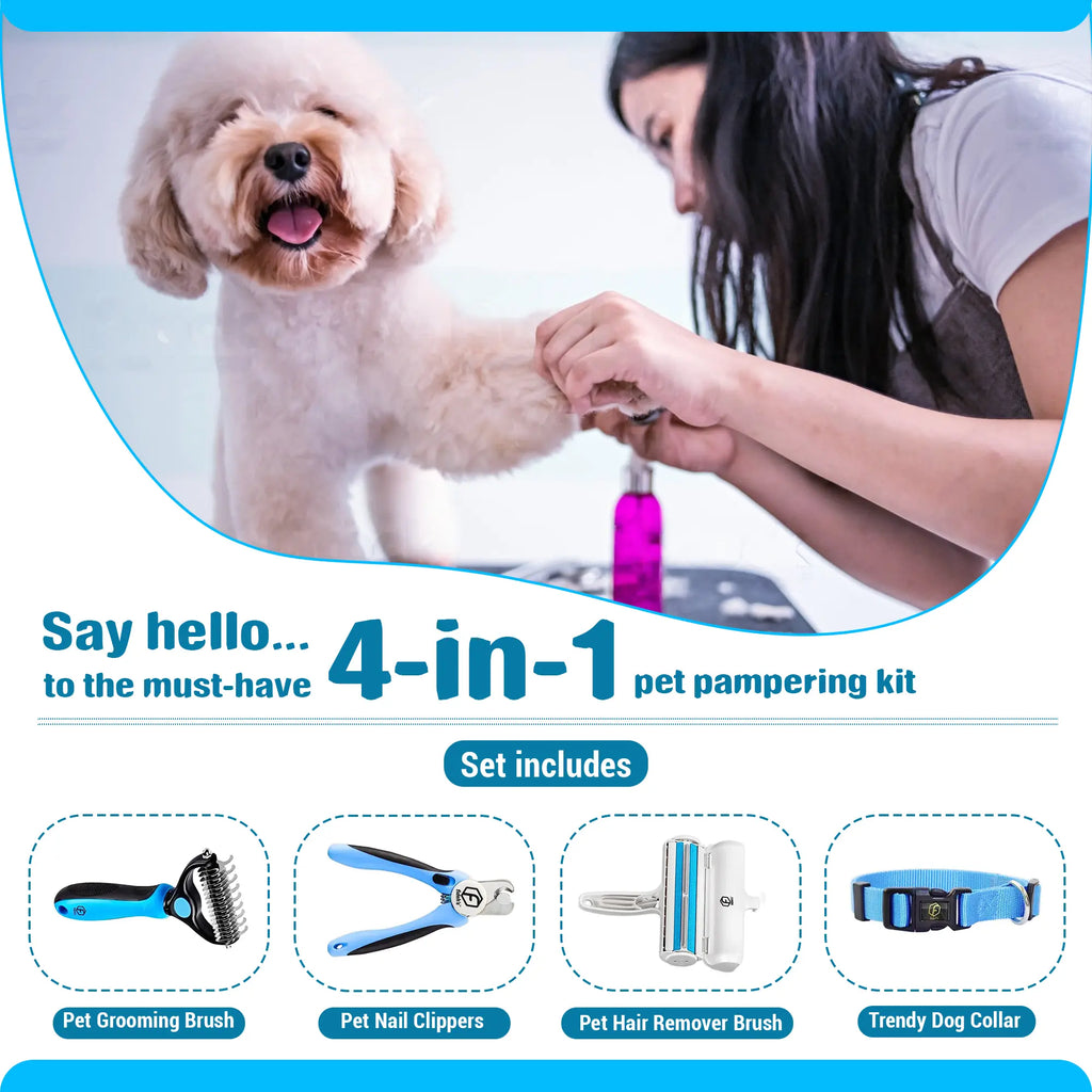 FIDEH 4-in-1 Pet Grooming & Care Essential Kit