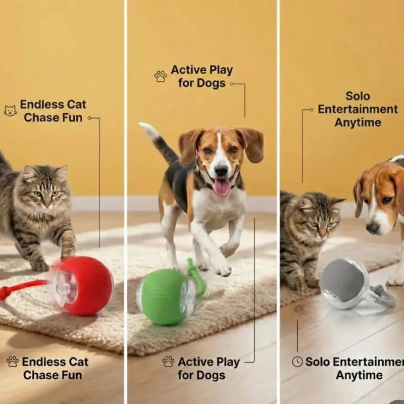 Automatic Interactive Halo-Ball & Rope Toy – Smart Self-Moving Toy for Active Dogs