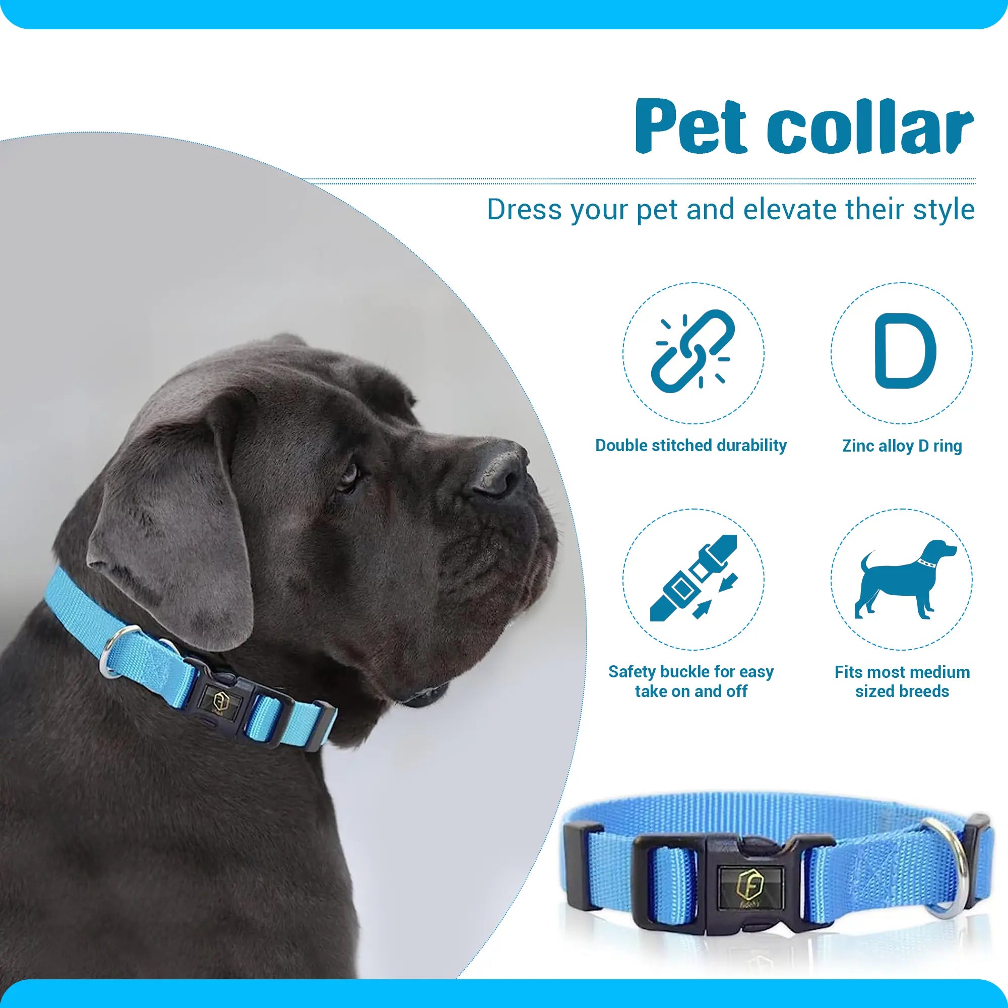 FIDEH 4-in-1 Pet Grooming & Care Essential Kit