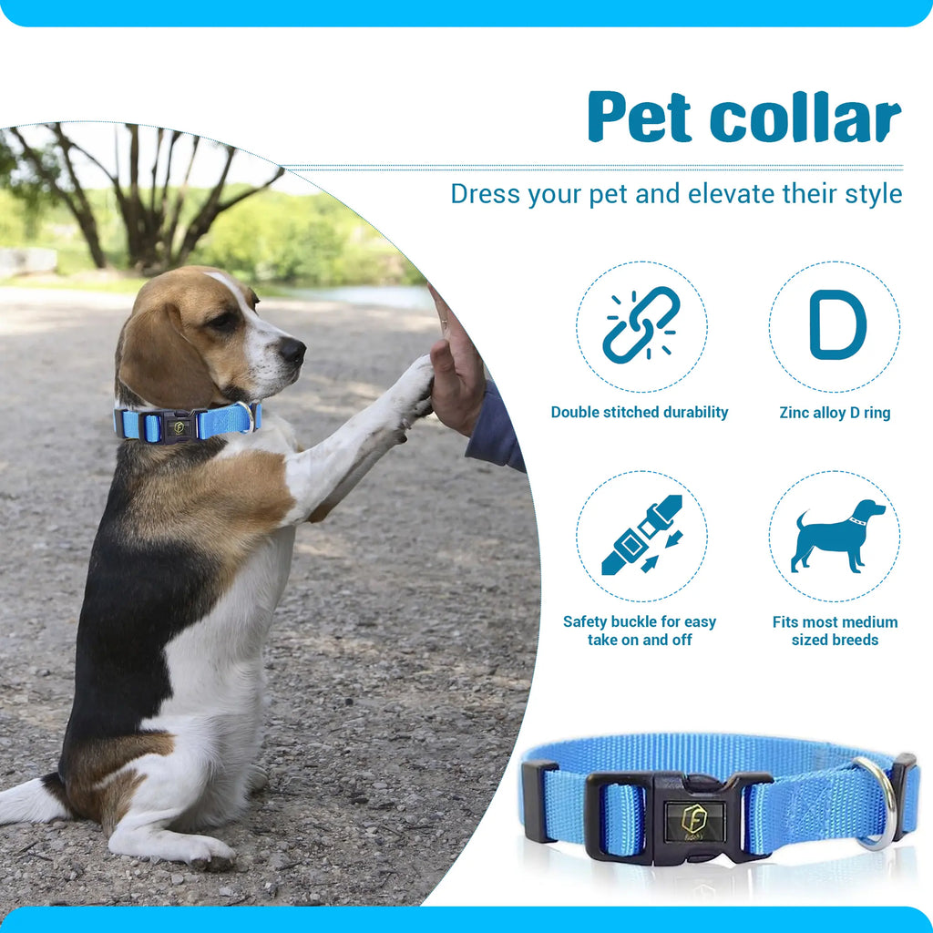 FIDEH 4-in-1 Pet Grooming & Care Essential Kit