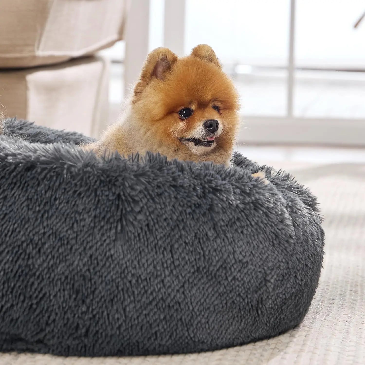 Cloud-Soft Calming Donut Bed – Ultra-Plush Anti-Anxiety Pet Bed