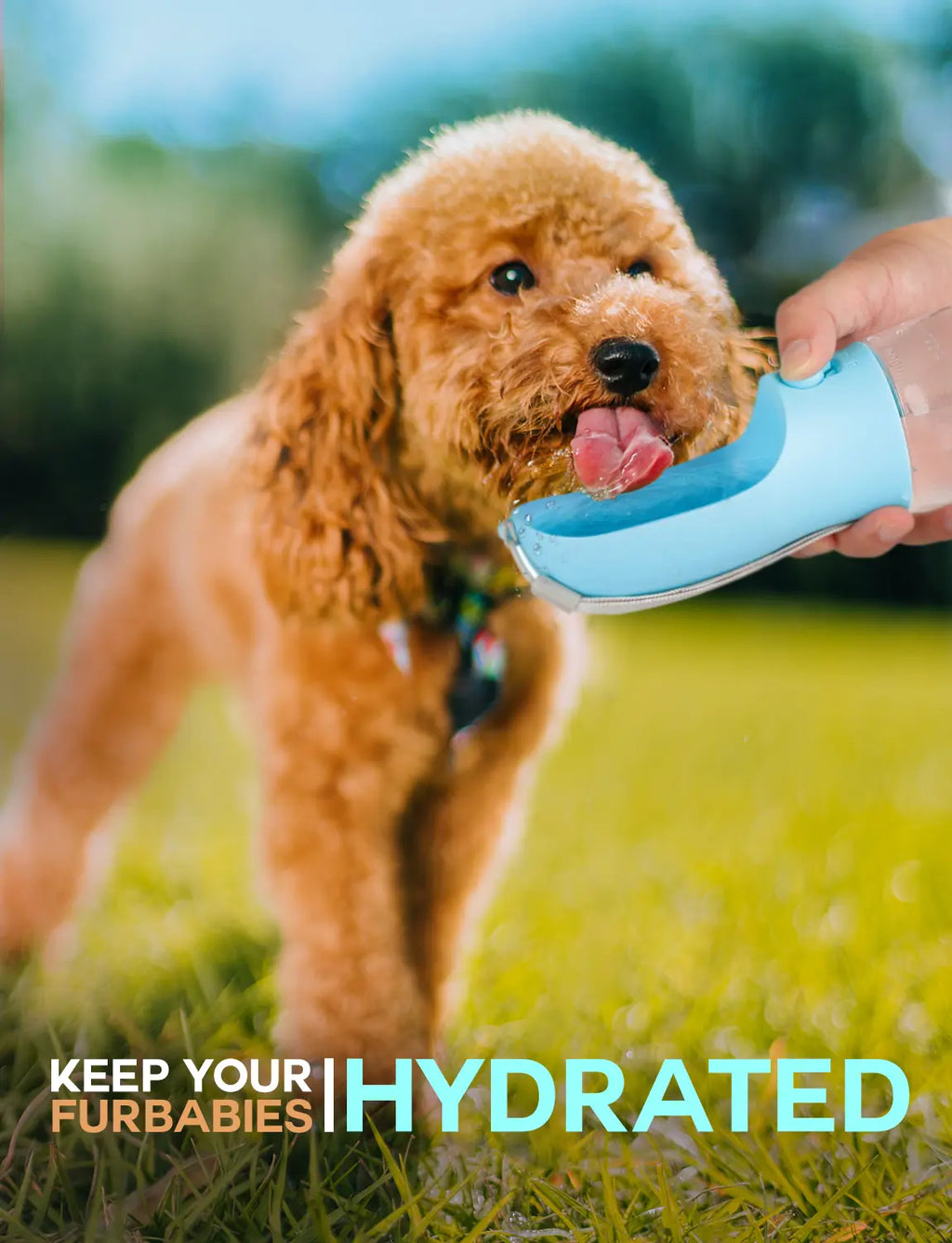 All-in-One 3-in-1 Portable Pet Travel Bottle – Hydration, Snacks & Waste Management