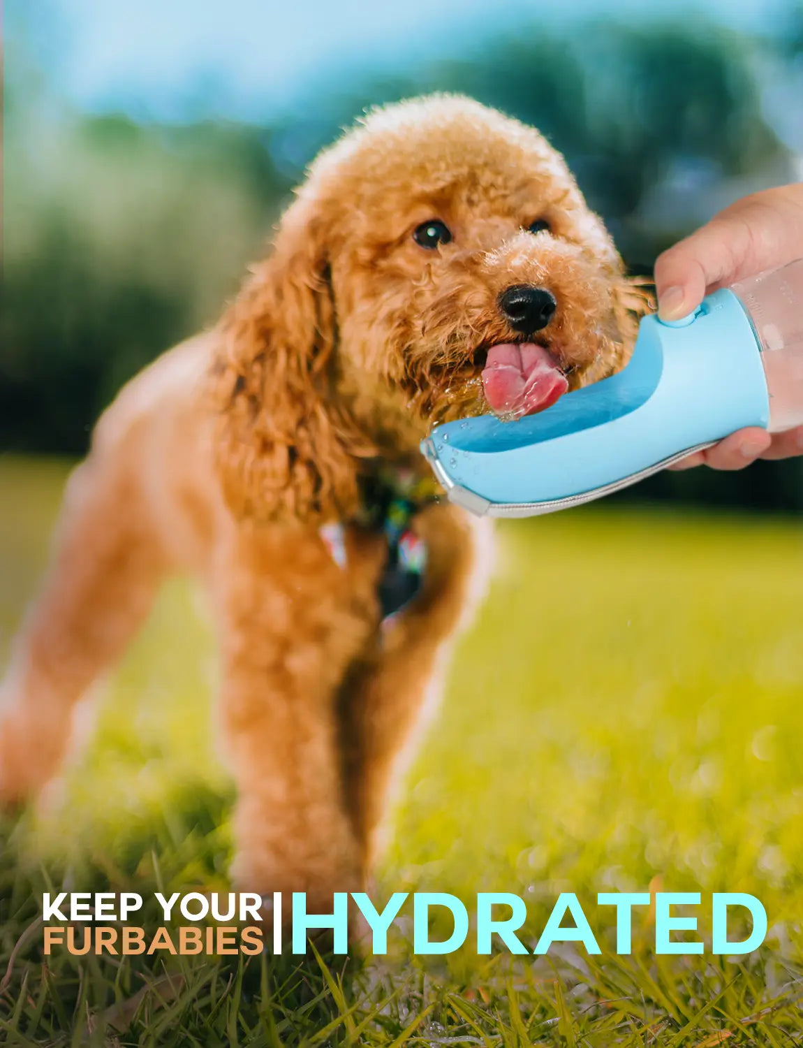 All-in-One 3-in-1 Portable Pet Travel Bottle – Hydration, Snacks & Waste Management